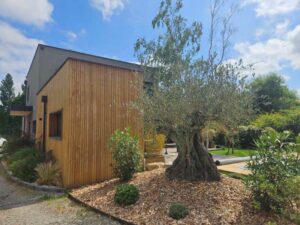 Maison écologique en bois