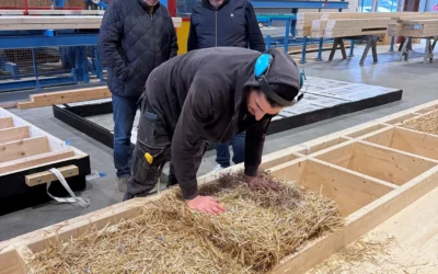 Murs ossature bois et charpentes traditionnelle pour vos projets 2026