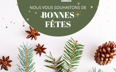 Nous vous souhaitons de joyeuses fêtes de fin d’année. L’entreprise sera fermée du 19/12 au 04/01/2026 inclus.